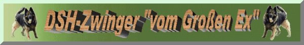 DSH-Zwinger vom Gro�en Ex