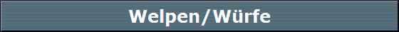 Welpen/Wrfe