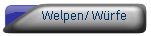 Welpen/Wrfe