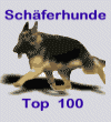Hier gehts zur neuen Topliste